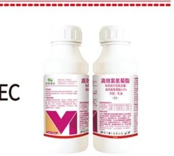 Beta-cypermethrin 4.5% EC