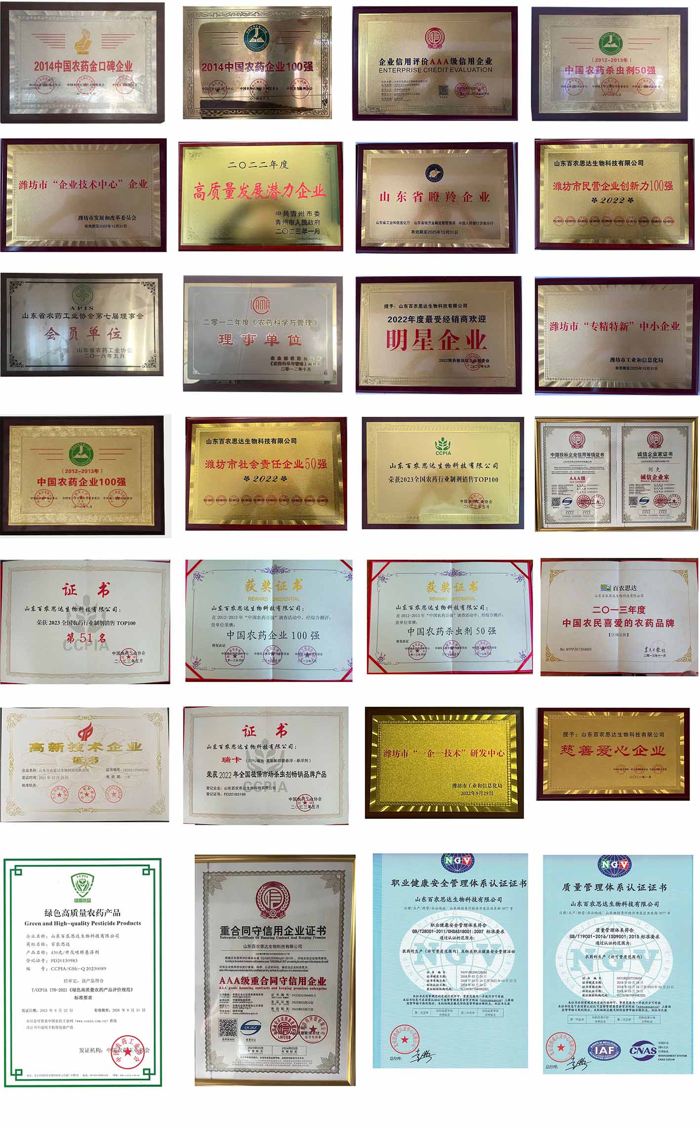 BNSD honors and certificates
